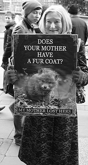 say no to fur 3