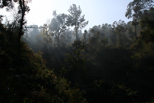 travel trees sun india mountain nature trek canon haze view walk hill uttaranchal kausani