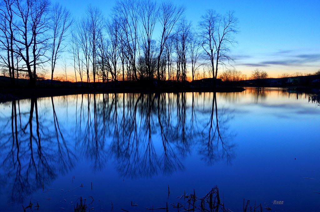 Another Blue Reflection by eaglexl