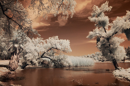 Lindo Lake Infrared by Bill Gracey 31 Million Views