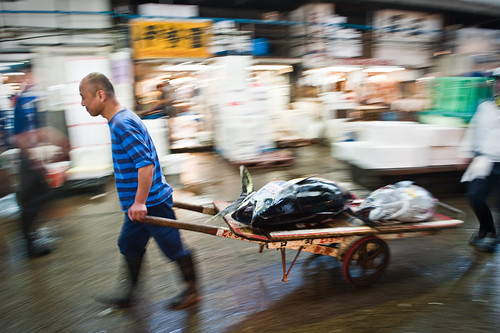 Tsukiji fish market by samthe8th