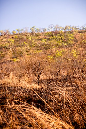 poverty winter canon landscape southsudan sudan 5d hornofafrica eastafrica toritcounty easternequatoriastate