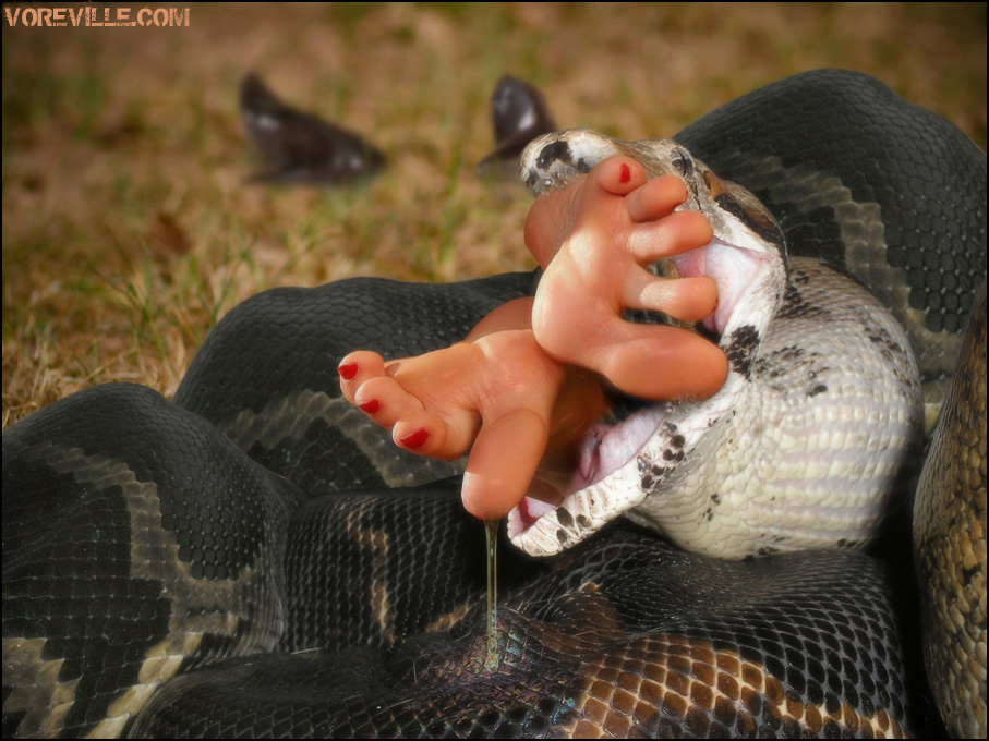 Snake Eating Human Alive 