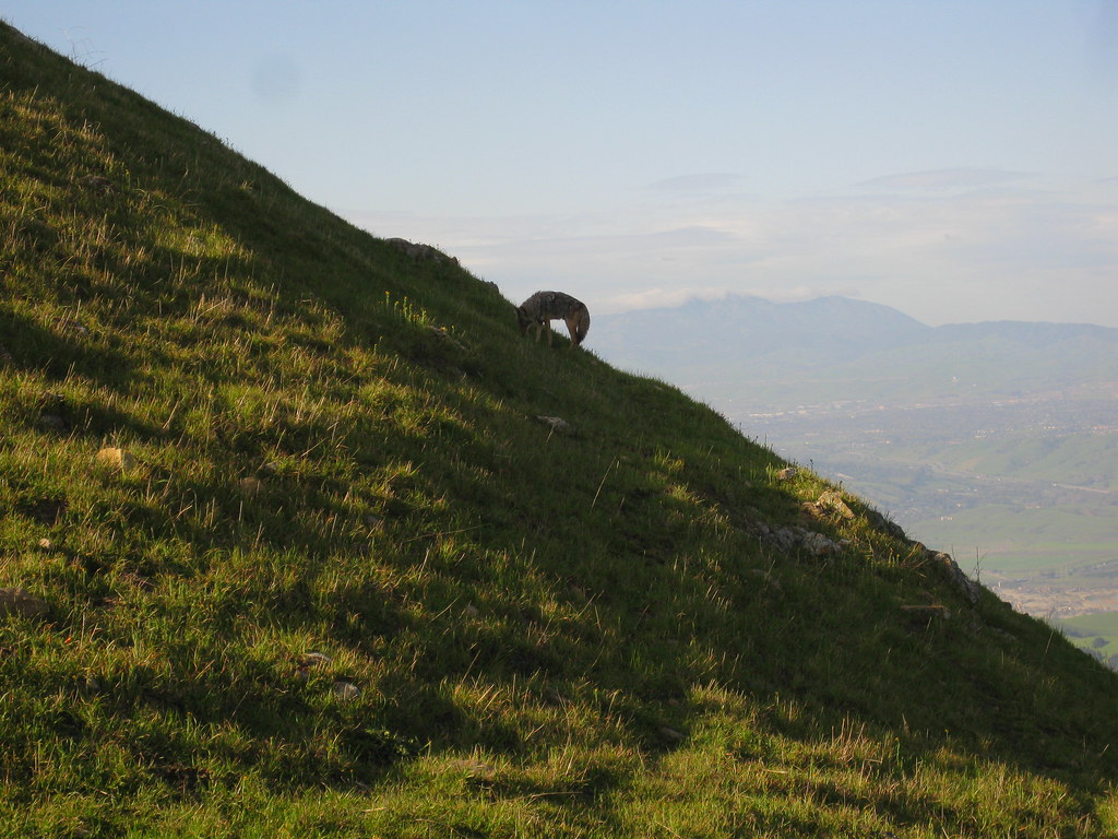 Backpack Camping at Mission Peak
