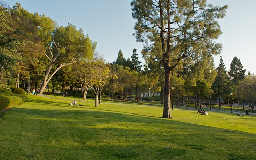 UCLA greens