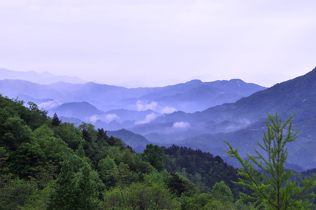 Dabie Mountains, Central China