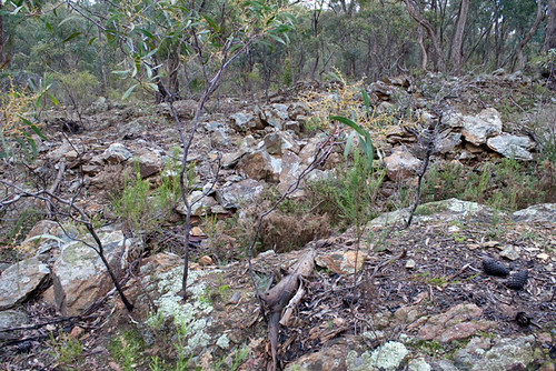 Mining Landscape | by Friends of the Box-Ironbark Forests