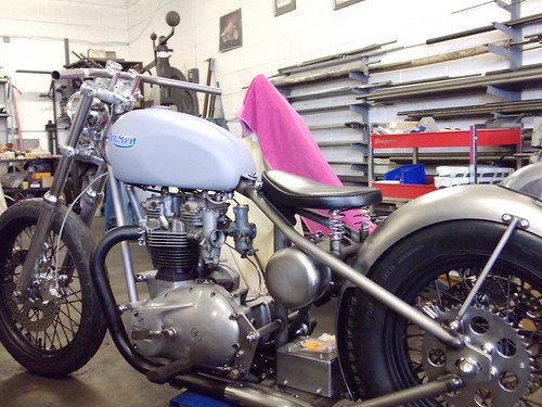 Triumph | by trevor.upham