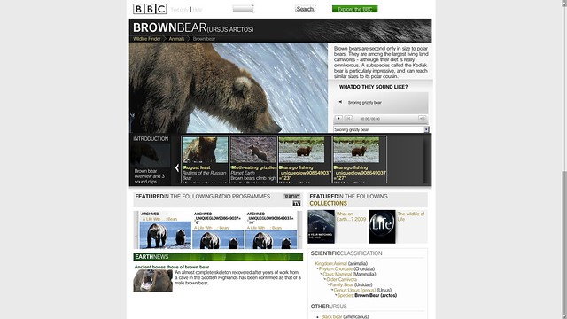 BBC - Wildlife Finder - Brown bear (video, facts and news)_2