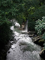 Stream and small waterfall before Caldera - Río y cáscadita antes de Caldera, Chiriquí, Panamá
