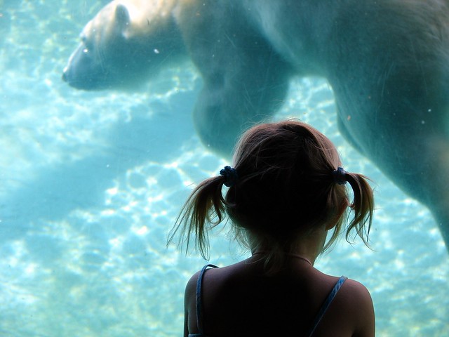 SD zoo girl and polar bear