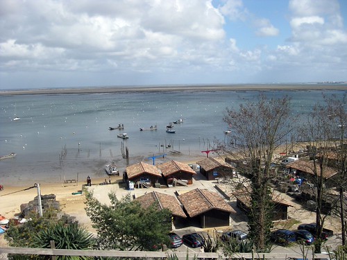 cap ferret | by helen@littlethorpe