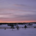 Winter Sunset - 102