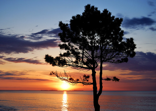 sea usa tree silhouette sunrise landscape coast newhampshire 2010 northhampton nikond80