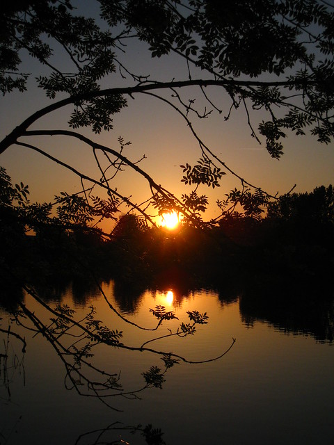 tramonto @ vijver Abdij van't Park, Heverlee