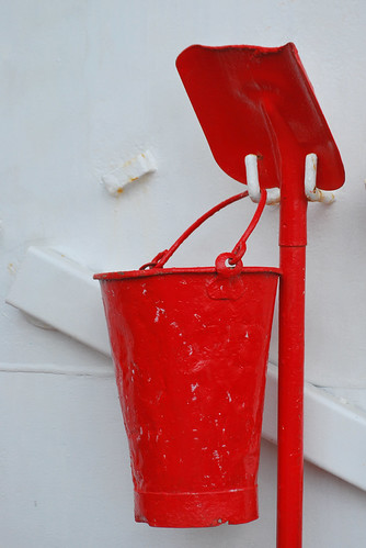 bucket challenge | by Scilla sinensis