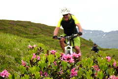 140614 Rinerhorn Sertig