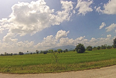 on the roadside between Sukhothai and Kamphaeng Phet