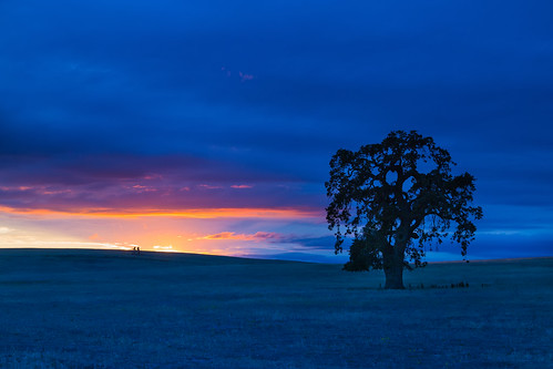 sunset field night rural cloudy oaktree sanbenitocounty renerodriguezphotography