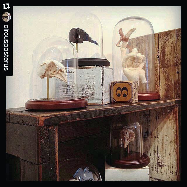 Wool specimen collection on view and available from @strangerfactory! I am still unable to create new work as I continue to recover from surgery so if you are looking for my sculpture look no further: #Repost @circusposterus ・・・ Lana Crooks #MourningAppar