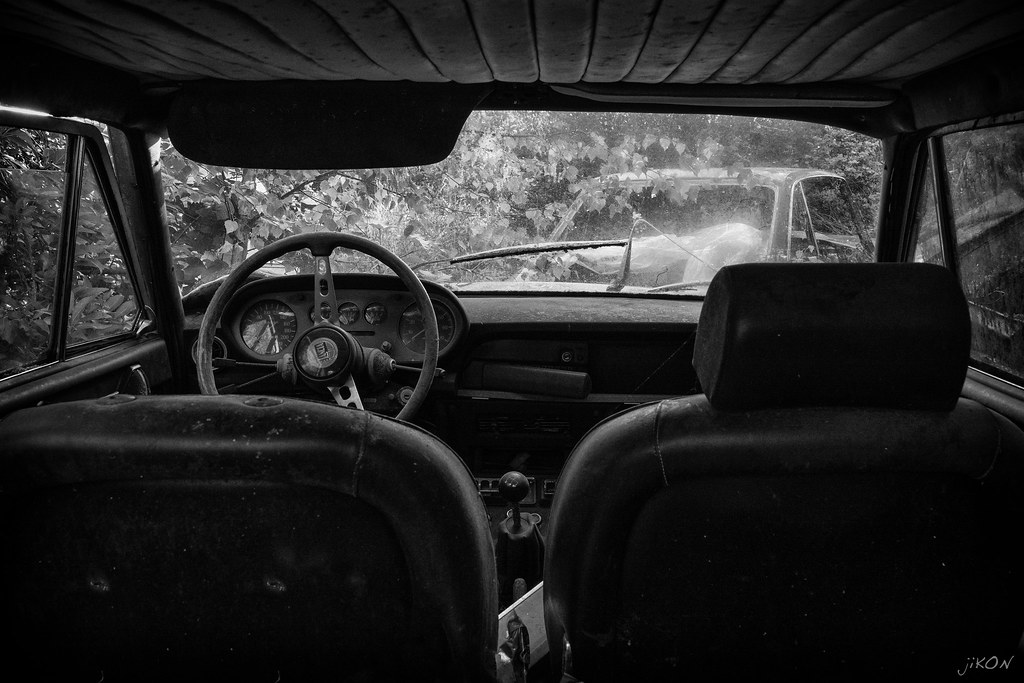 inside the lancia in the woods