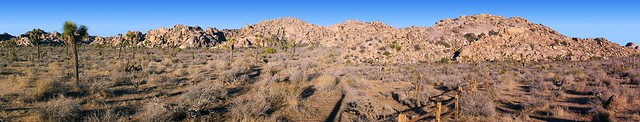 Desert Queen Ranch Panorama