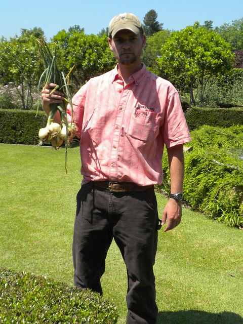 Evan with freshly-harvested onions.