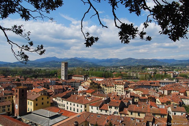 Lucca - Toscana - panorama di Lucca dalla Torre Guinigi