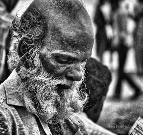 Beard by avgstays