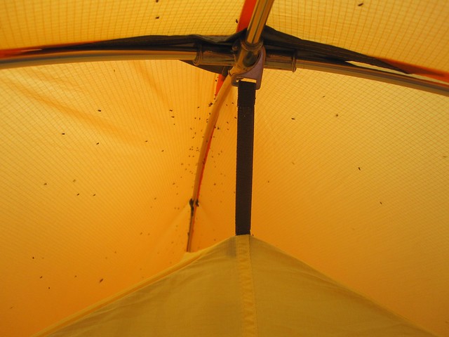 Lake Waikaremoana Great Walk 39 - Sandflies inside my tent