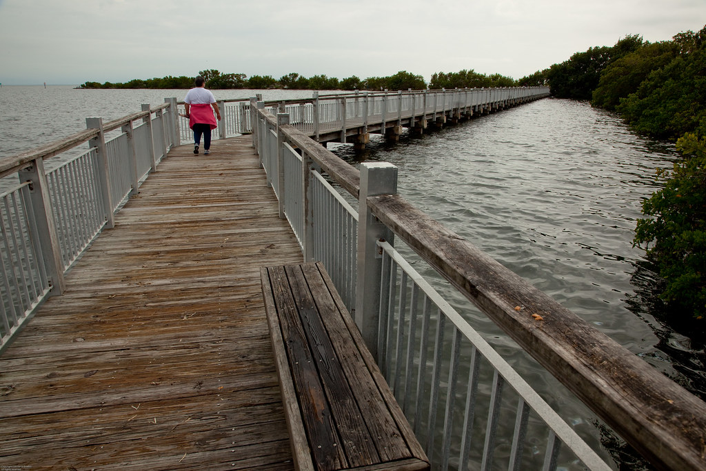 Boardwalk of Biscayne National Park