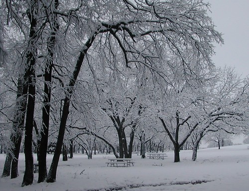 Winter Wonderland | by Linda61