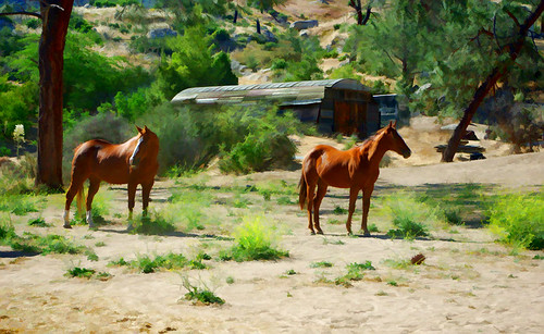 Two friends | by lakecarole2008