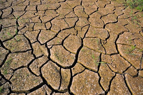 Cracked earth | by CIAT International Center for Tropical Agriculture