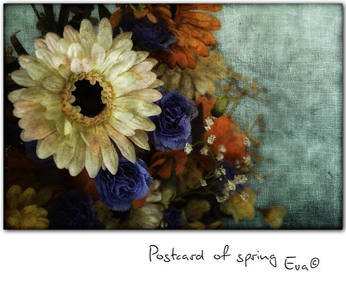 Postcard of spring by in eva vae