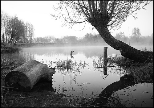 Misty Lake by KnippenbergPhotography