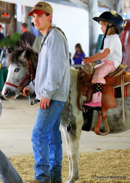 Pony Rides at the Hilltown Spring Festival