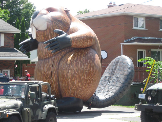 Giant Beaver - a photo on Flickriver