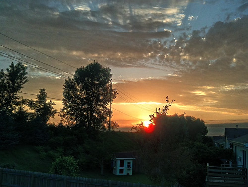 cameraphone trees sunset sky sun clouds
