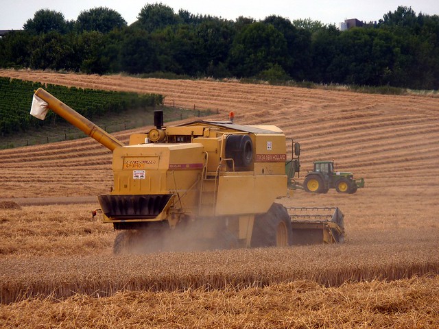 Harvesting the Field
