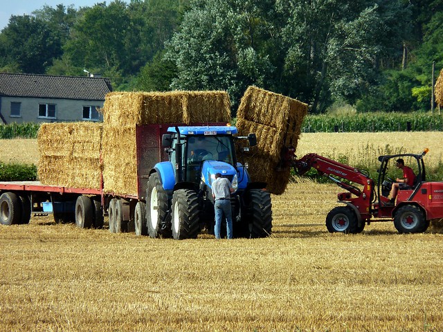 Loading the Straw Bales