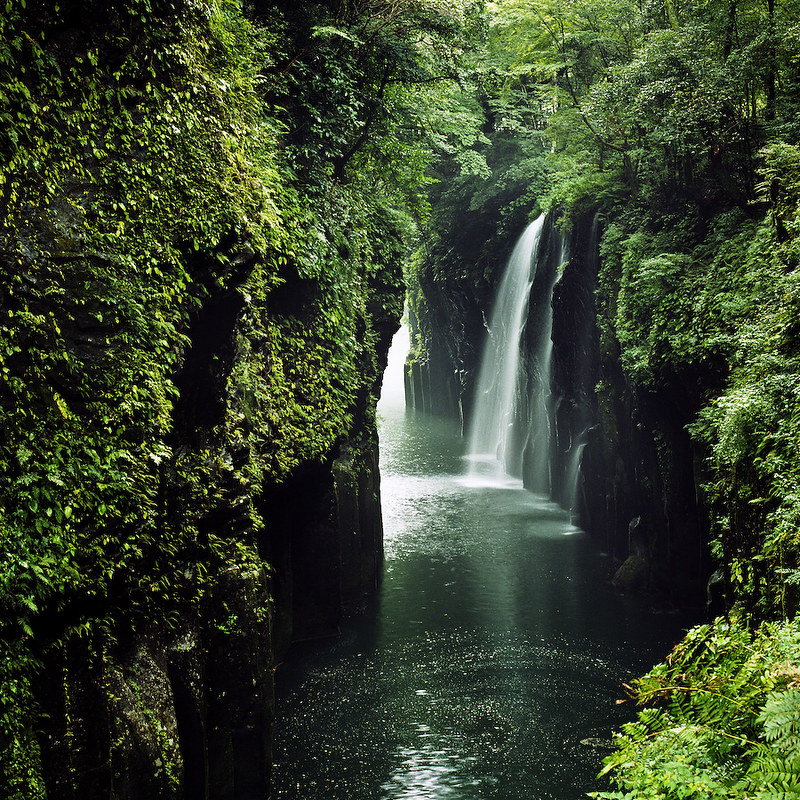 The waterfall by gainsbourg × yebisu