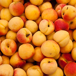 Albaricoques - Apricots