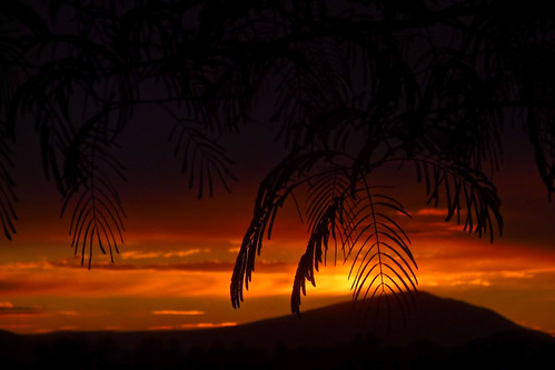 Sunset by VanGorkum Photography, Sunsetsunset summer copyright west lens photography photo washington flickr photographer image 10 c