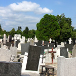 The cemetery at Gardos