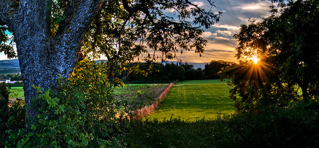 Countryside sunset - Panorama