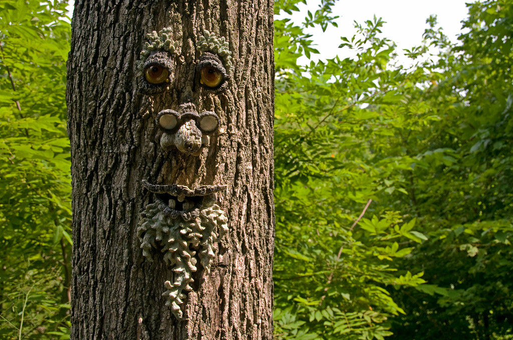 The Woods Have Eyes by RkyMtnGrl