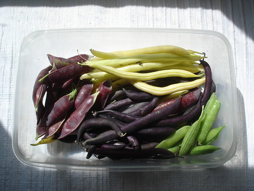 more peas and beans | by soommen