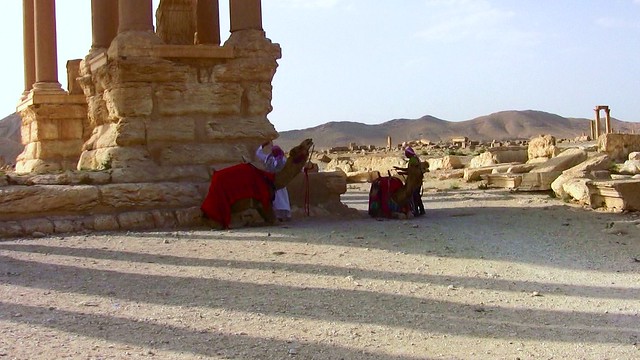 SYRIEN-Palmyra, Im nachmittäglichen Schatten