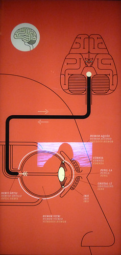 Infographics | by emily tu